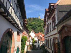 Turmwohnung Büdinger Hof Weinheim